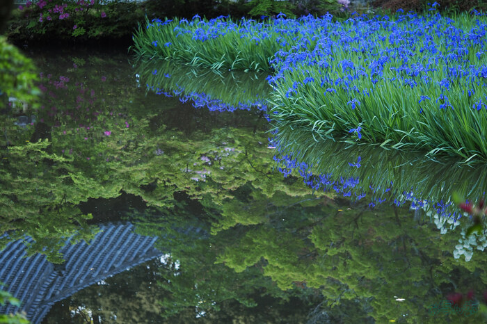 お写ん歩: M.ZUIKO DIGITAL ED 60mm F2.8 Macroアーカイブ